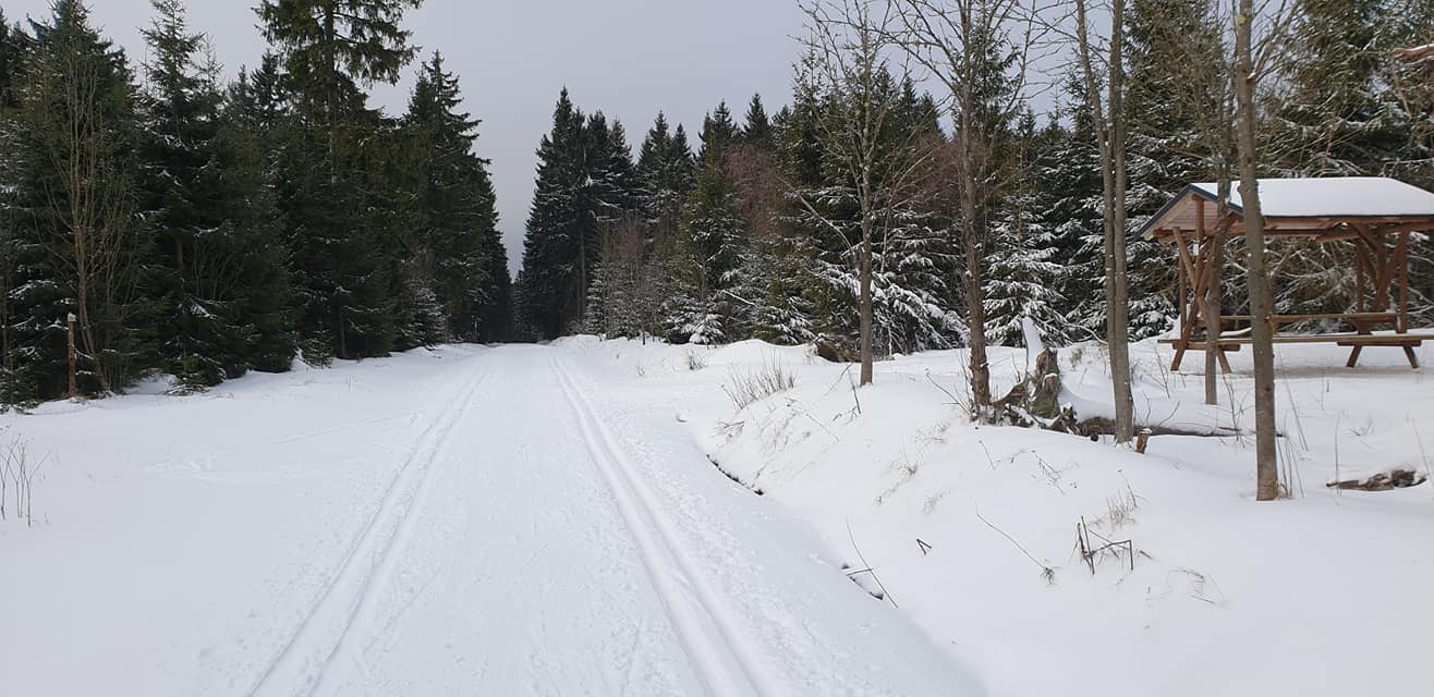 Loipengebiet Carlsfeld 13.02.20