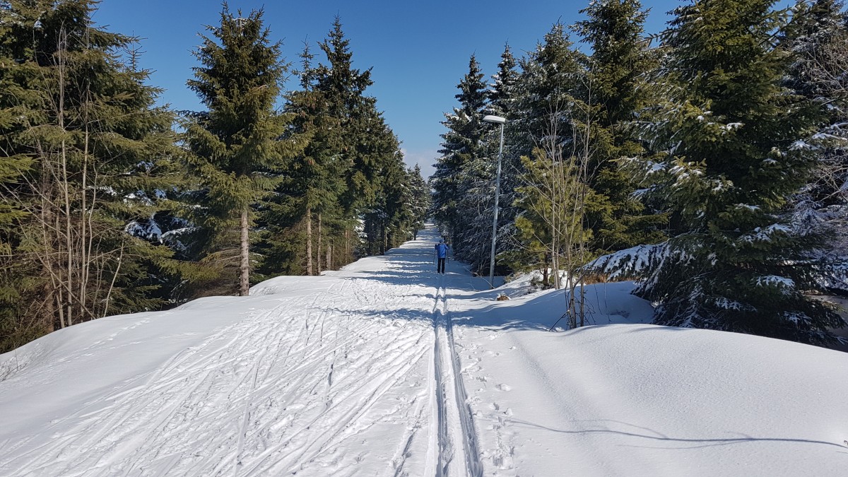 Langlauf-Fichtelberg-2021-05-08