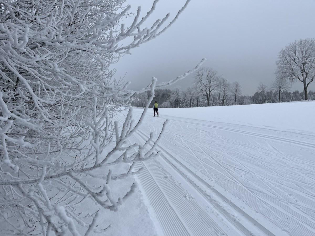 Loipe-Hermsdorf-2022-12-17