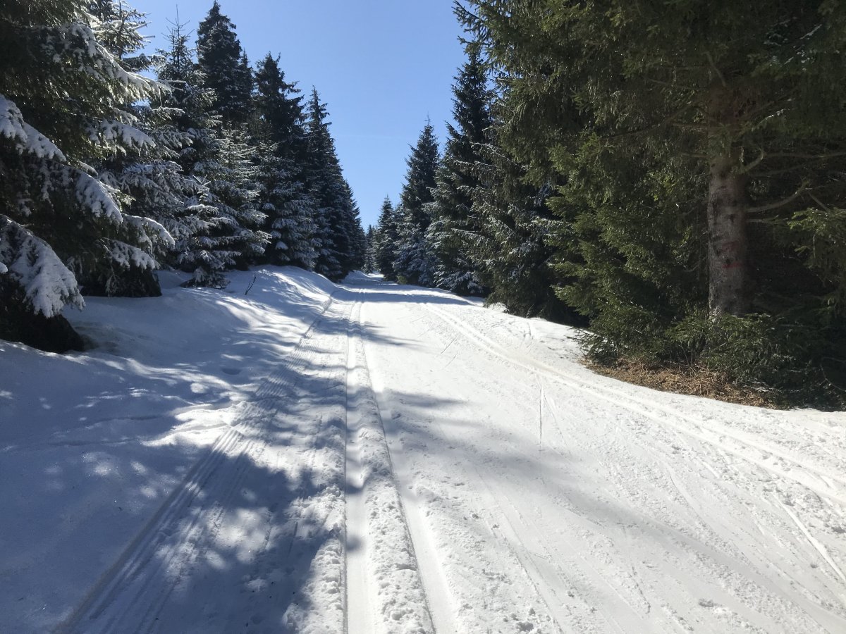 Loipe-zur-Skiarena