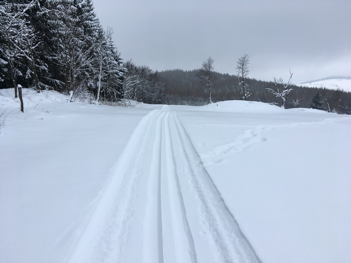 Skiwandwerg Zinnwald kurz vor Ende der Loipe unterhalb der Kohlhaukuppe