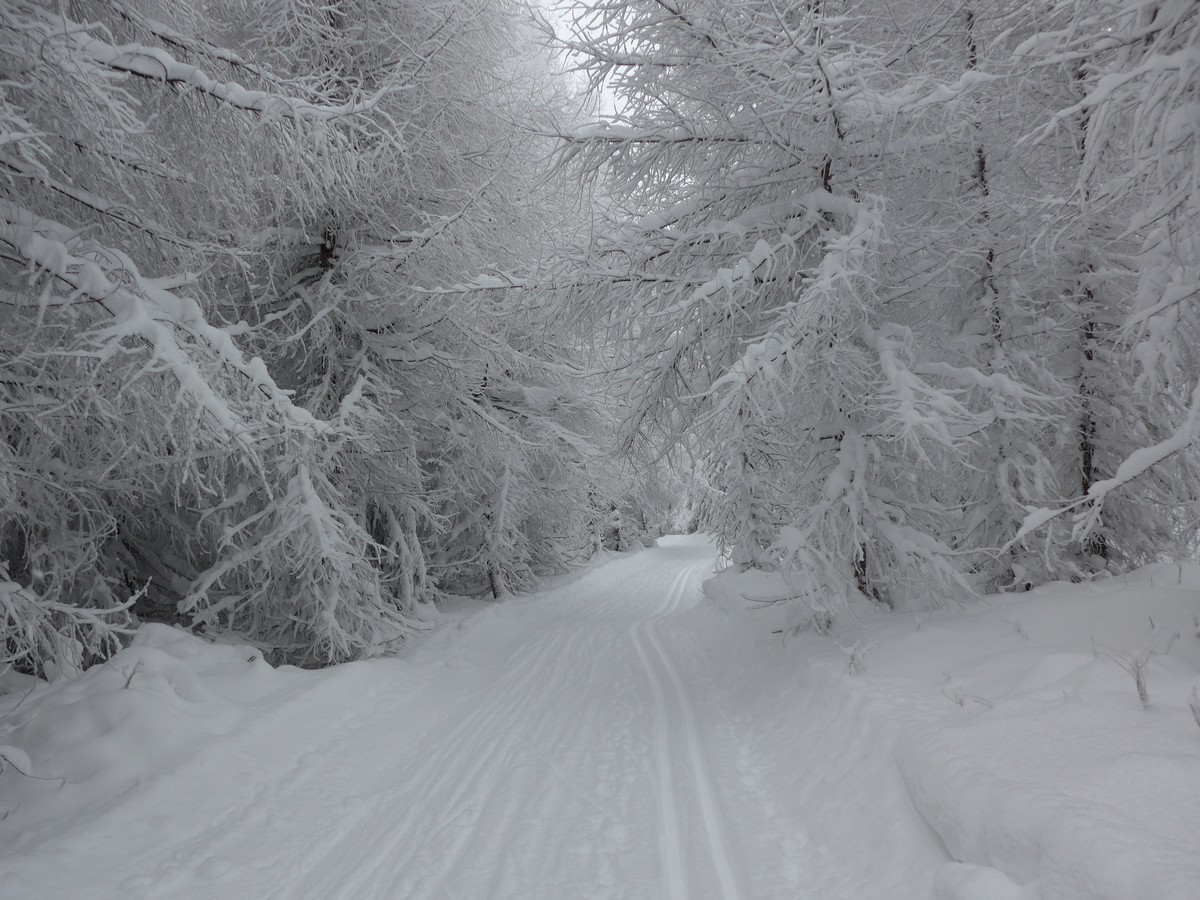 Runde Osterzgebirge