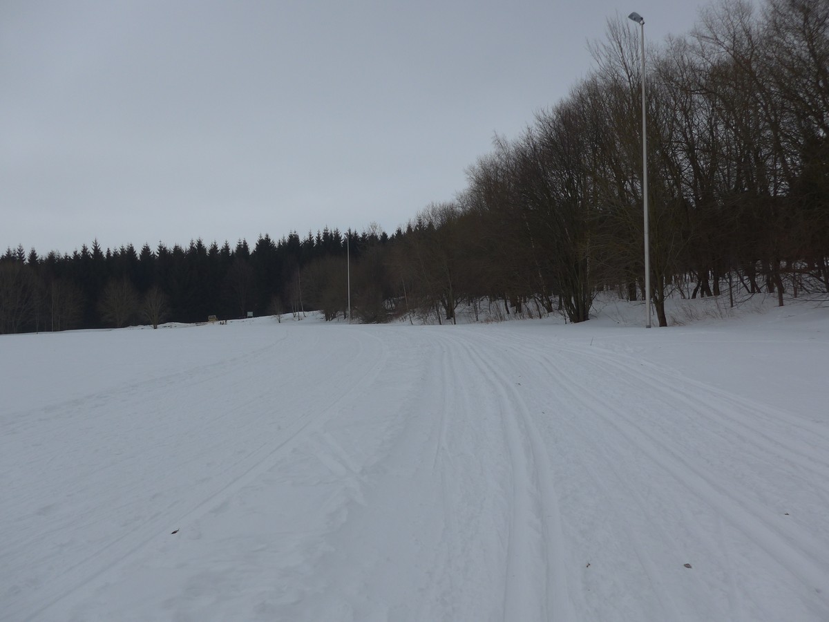 Loipe am Mischplatz bei Annaberg-Buchholz - gute Trainingsstrecke