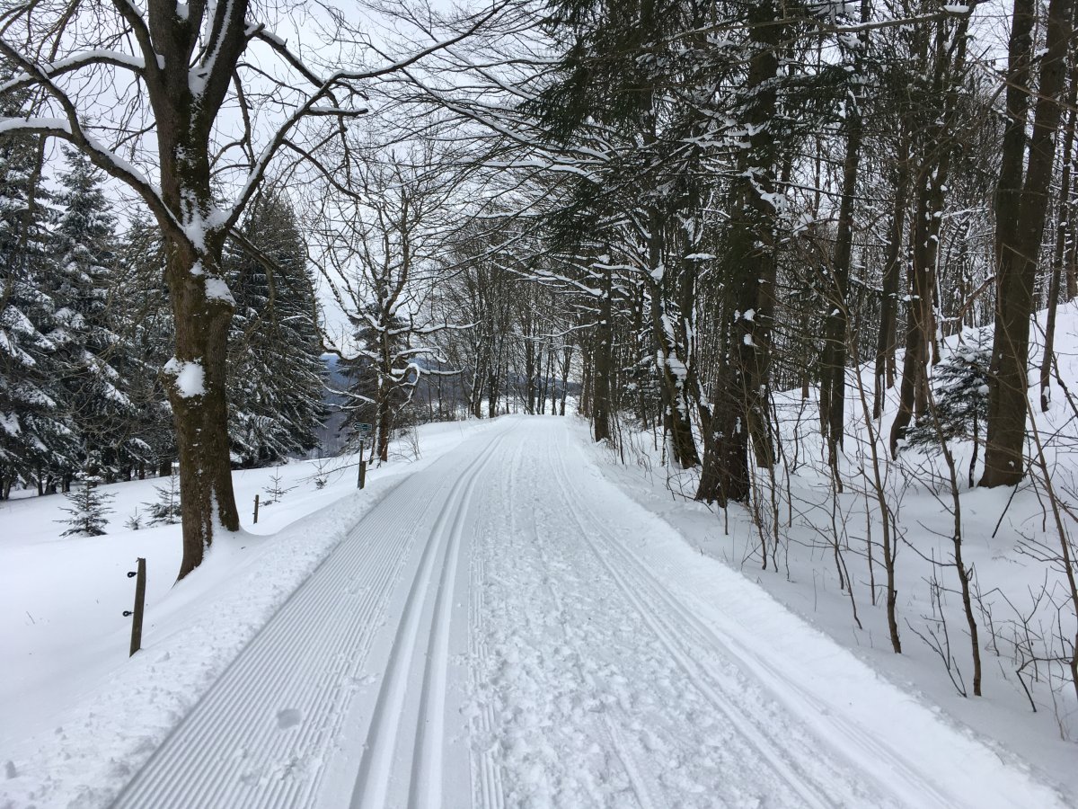 Skiwanderweg rund um den Bärenstein