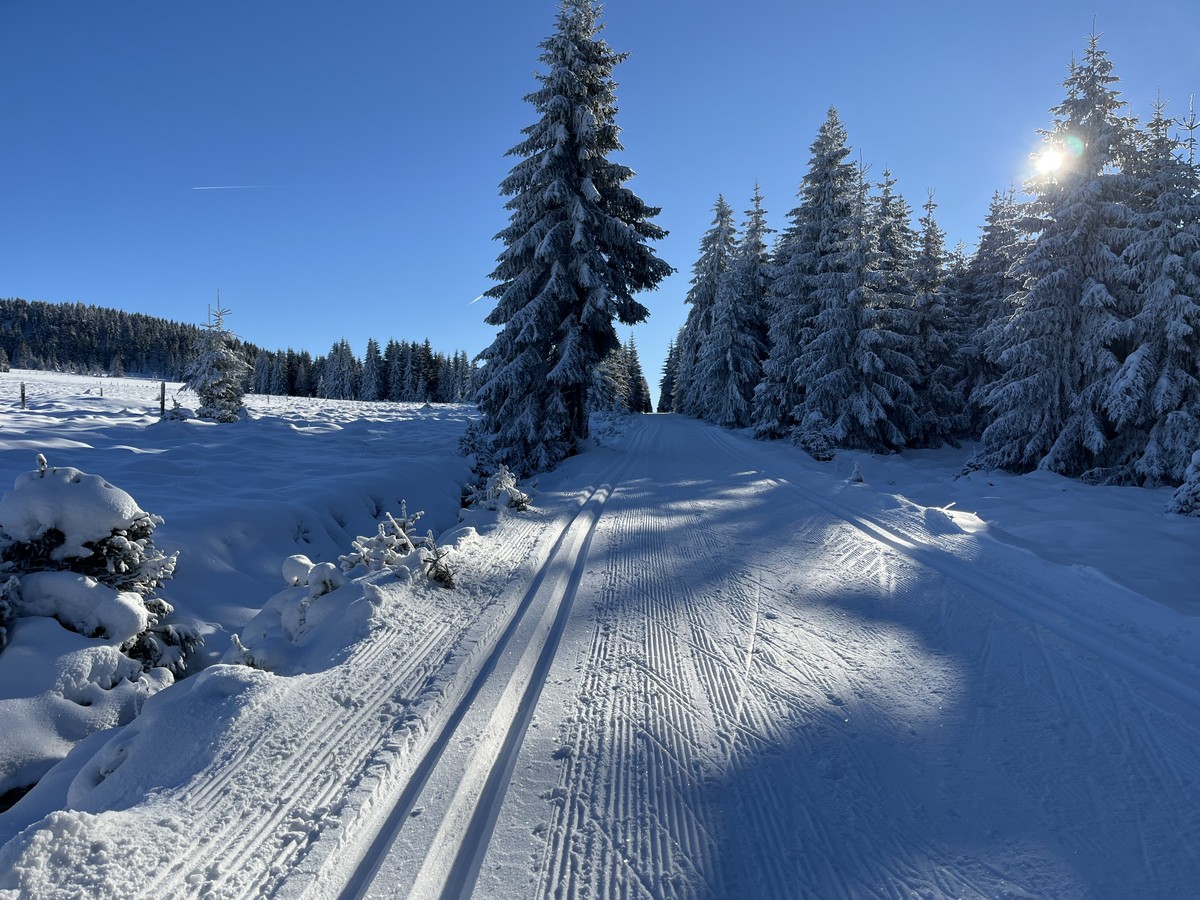 Loipengebiet Bozi Dar unterhalb vom Gottesgaber Spitzberg