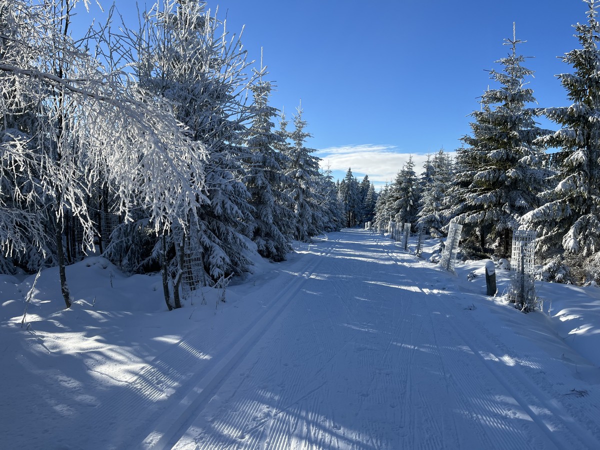 Loipe Bozi Dar Mysliven (Försterhäuser)