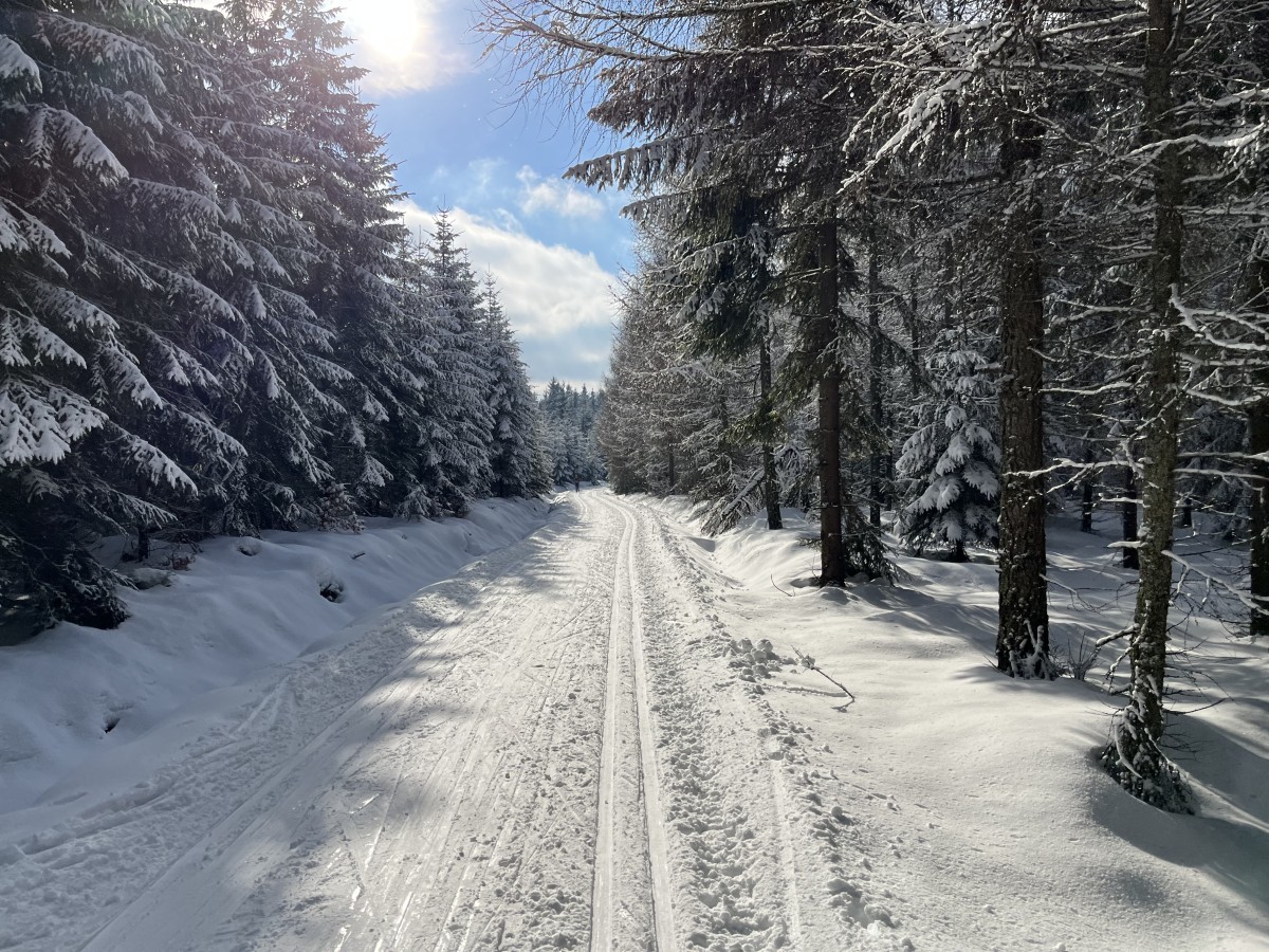 Loipengebiet Cinovec - Nove Mesto bei Traumwetter