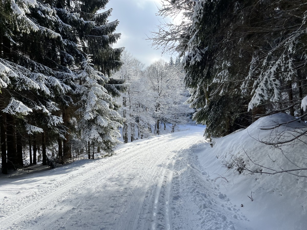 Anschlussloipe Nove Mesto - Moldava