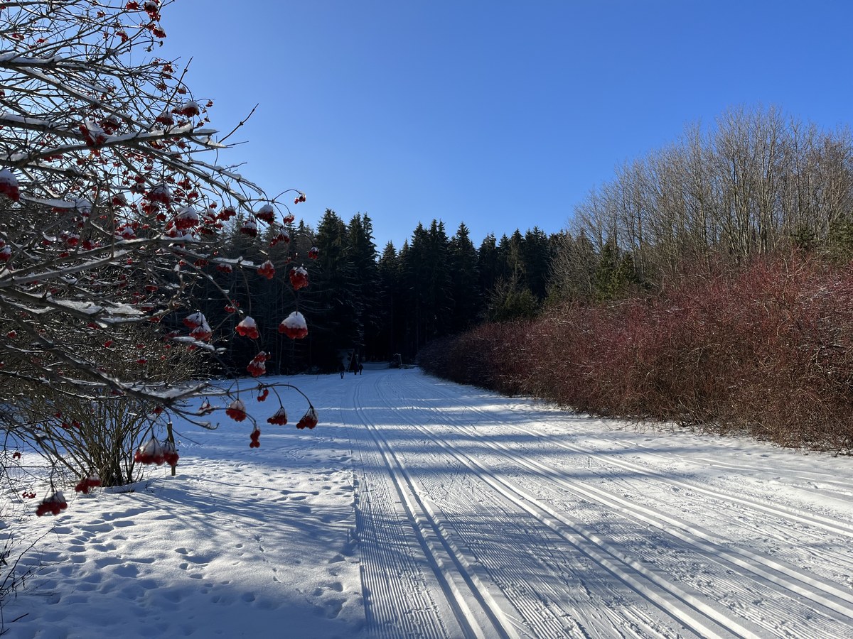 Loipe_Ehrenfriedersdorf3-Skilift