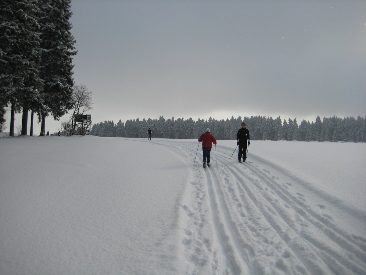 Loipe am Staudtfeld