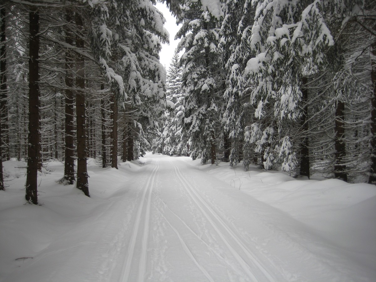 Loipengebiet Geyerscher Wald