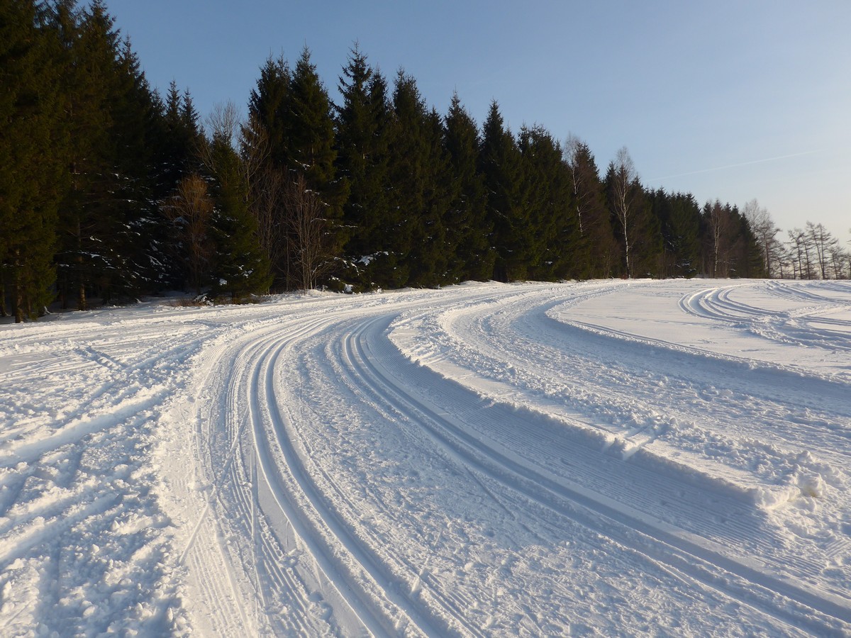 Loipe am Schlegelberg / Walthershöhe