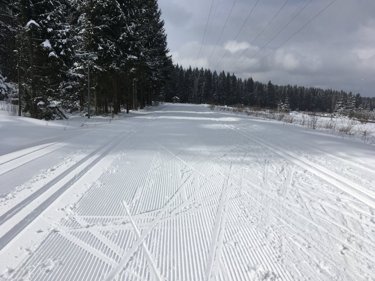 5km-Rehhübelloipe bei Grünbach im Vogtland