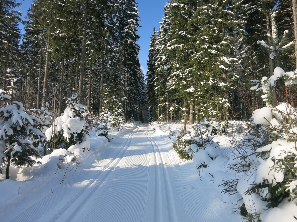 Loipengebiet Grünheide und Beerheide