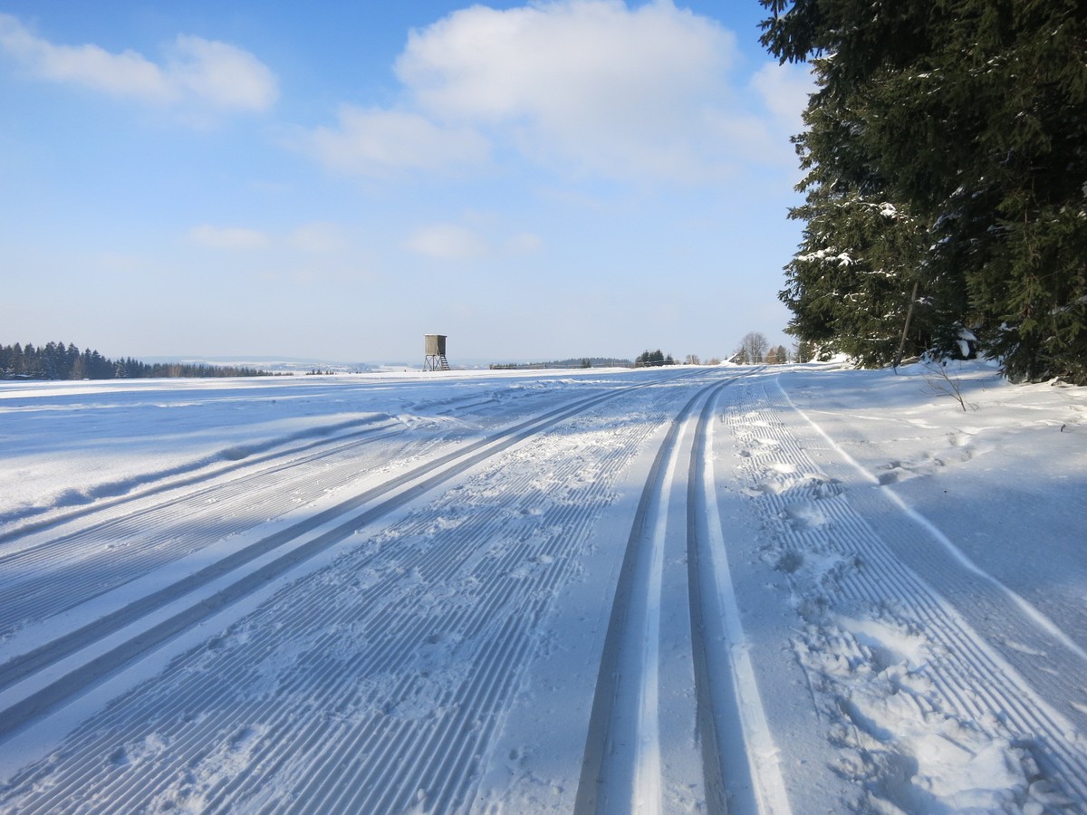 Loipe bei Beerheide im Vogtland