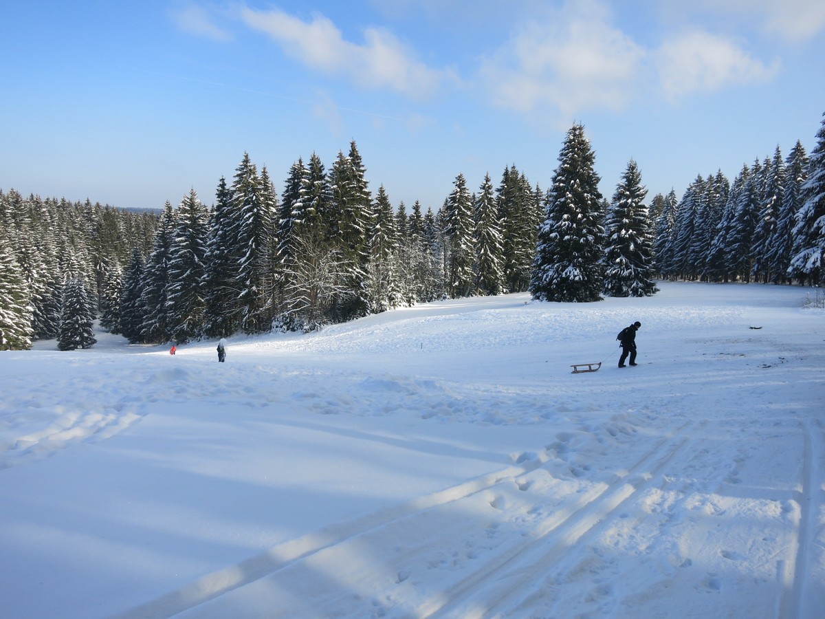 Loipe nahe Rodelhang am Waldpark Grünheide