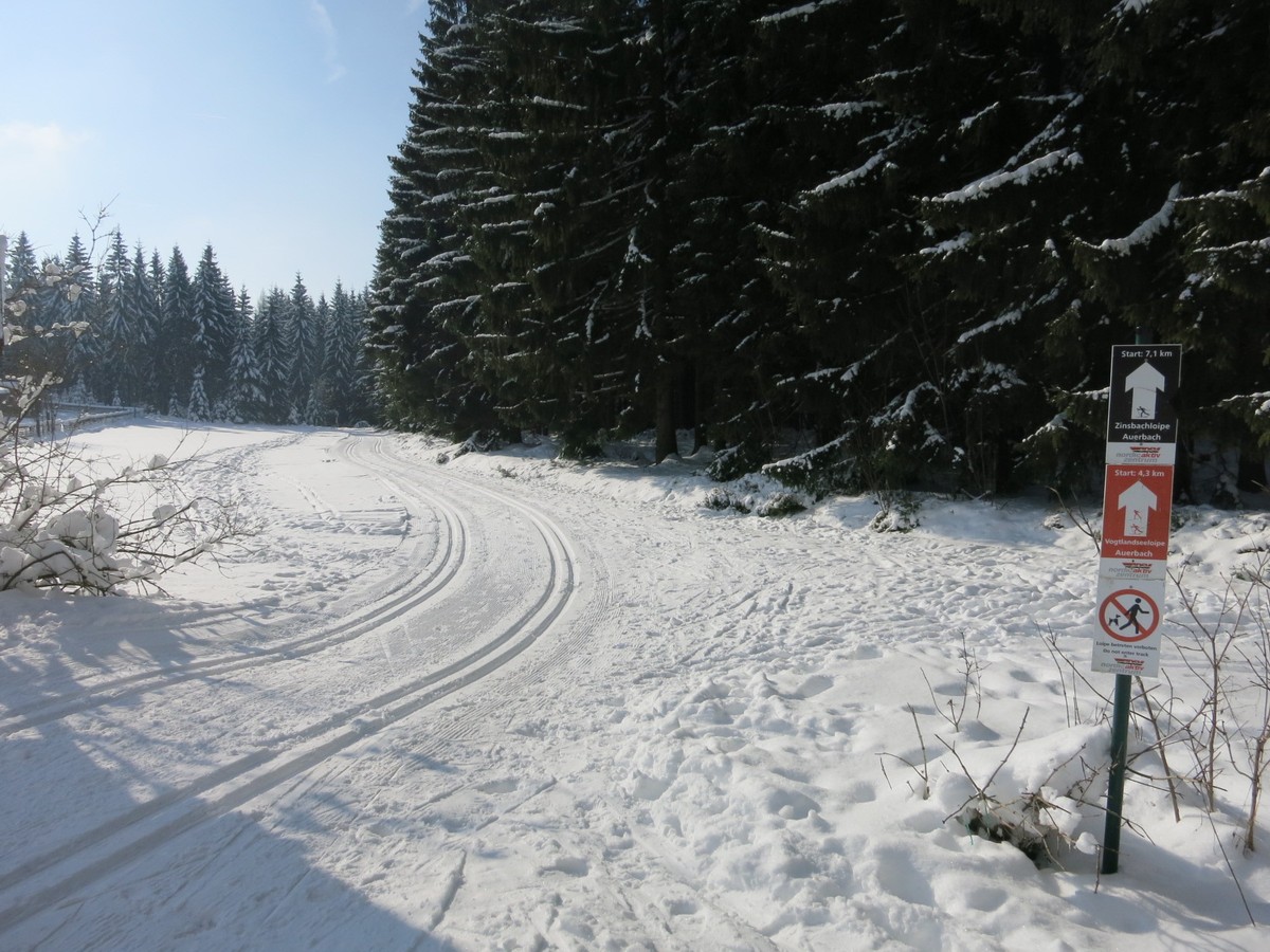 Einstieg Vogtlandseeloipe am Waldpark Grünheide