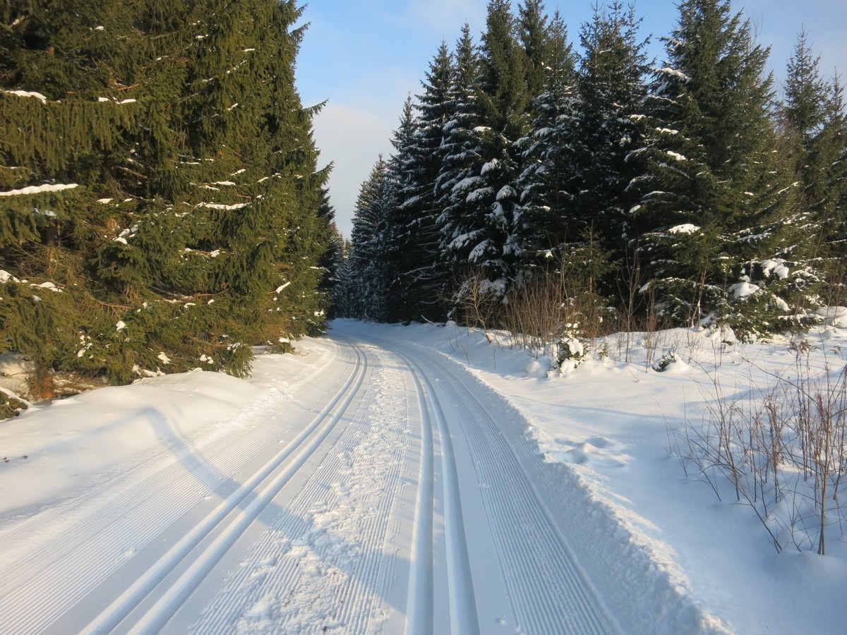 Loipenanschluss zum Waldparkplatz