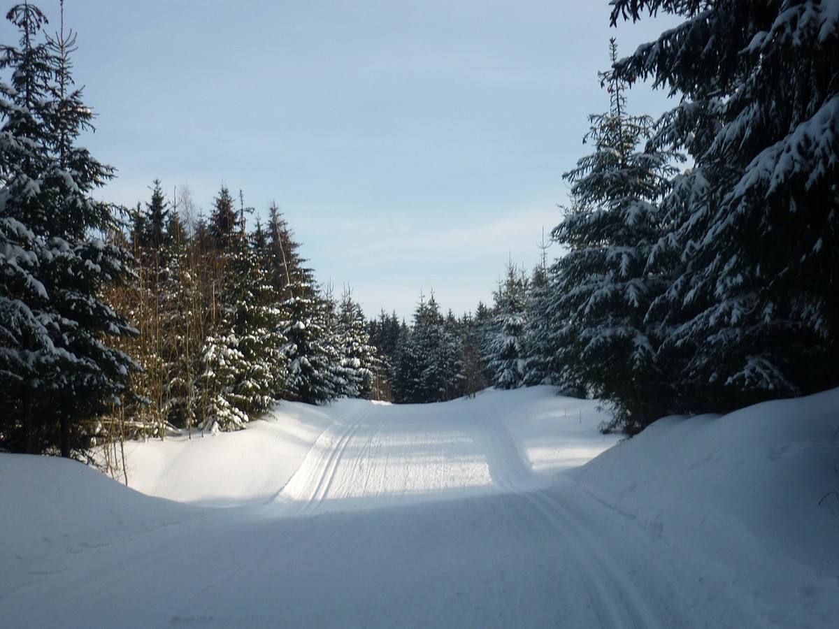 Kammloipe im Bereich Schneckenstein