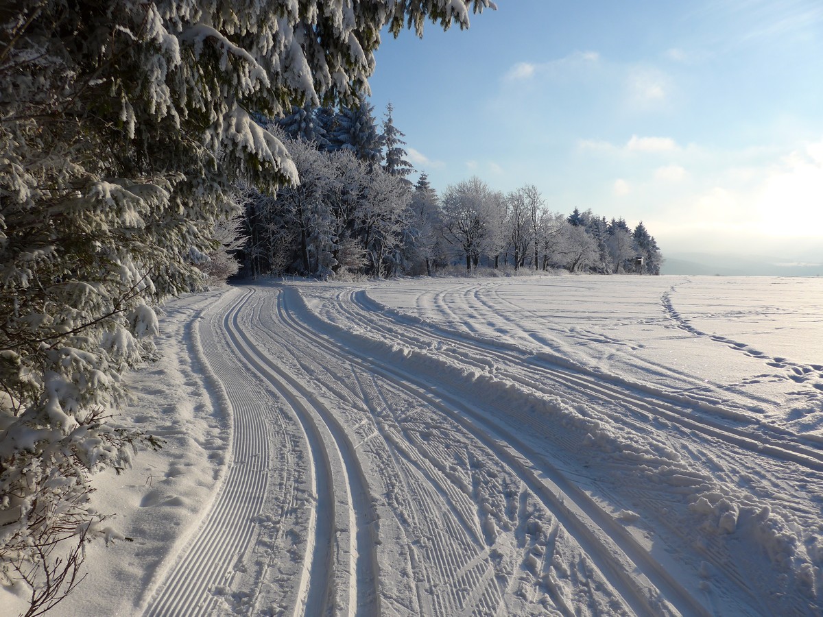 Loipengebiet Holzhau nahe Ringel