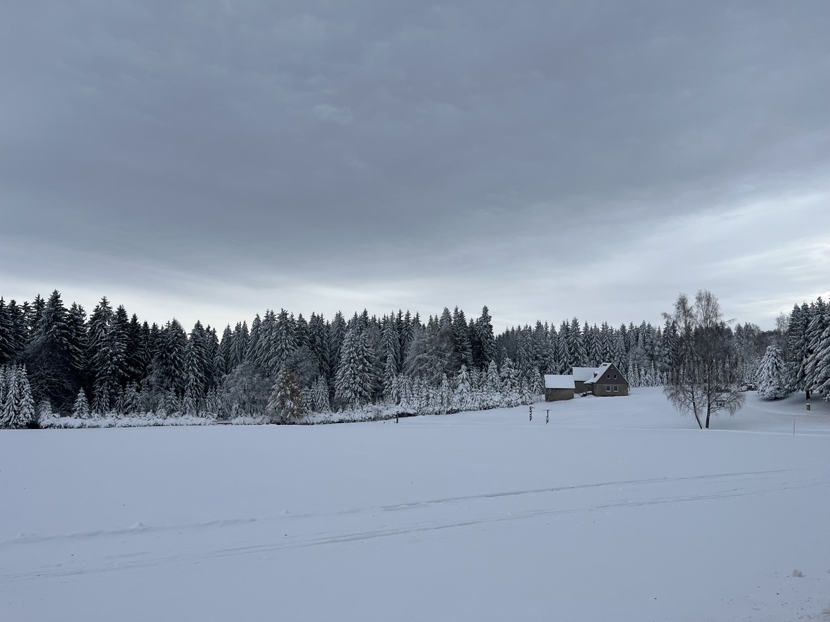 Freifläche bei Jägerhaus