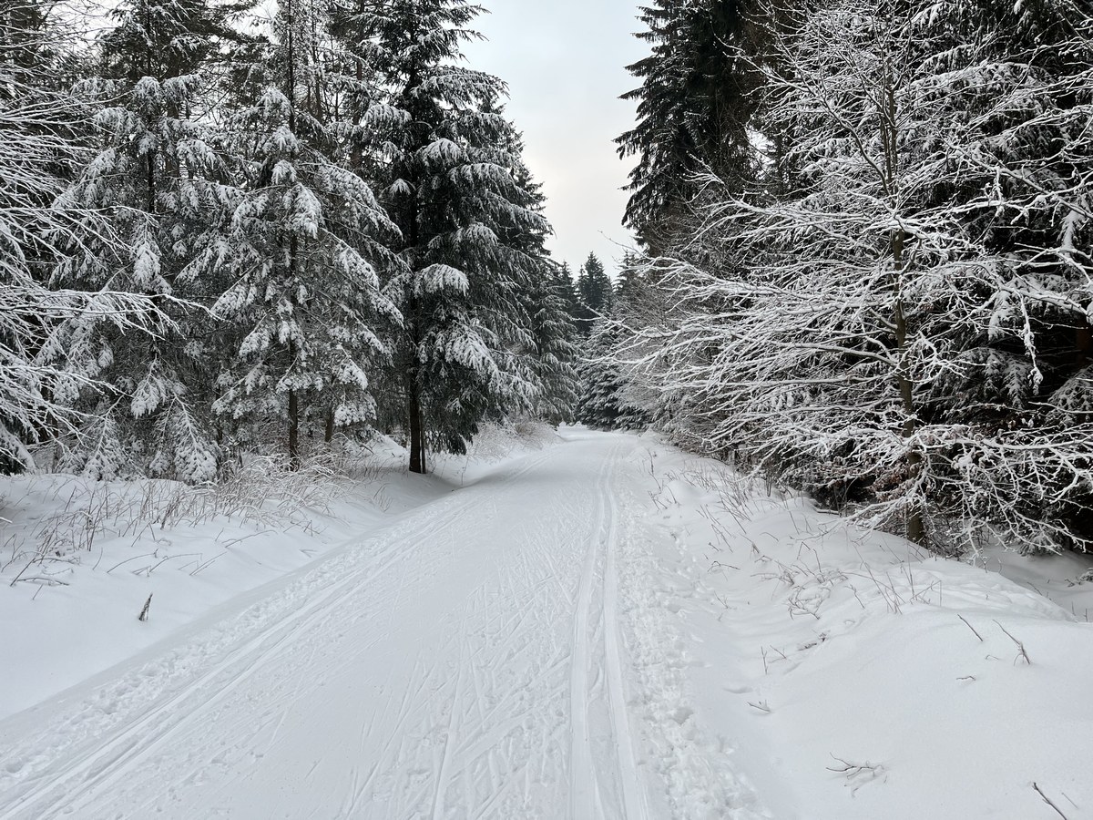 Loipe bei Jöhstadt Alte Henne