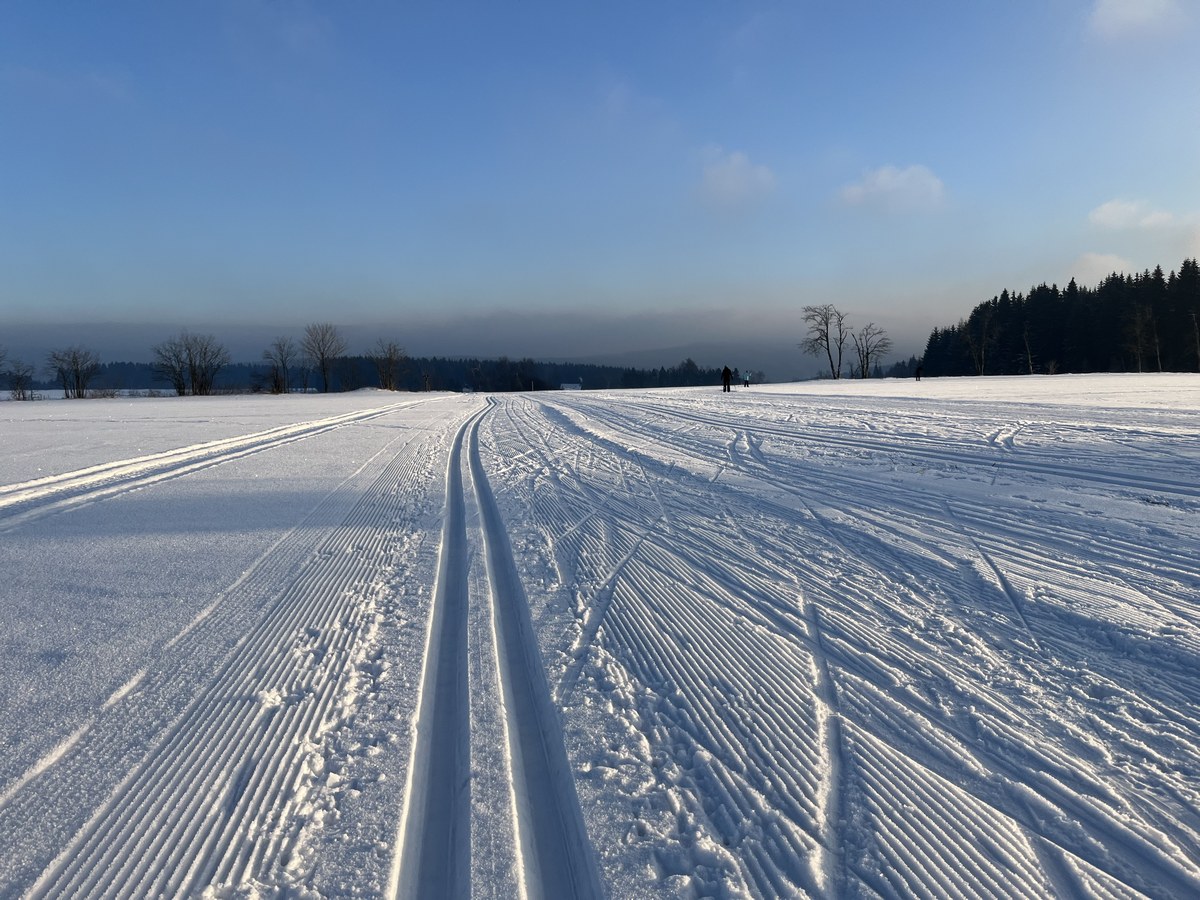 Im Loipengebiet Jöhstadt