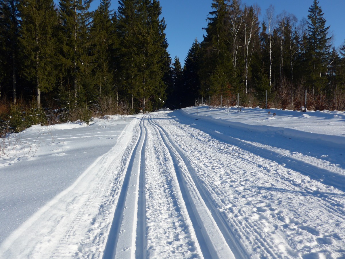 Zwischen Herrenberg und Jägerstraße