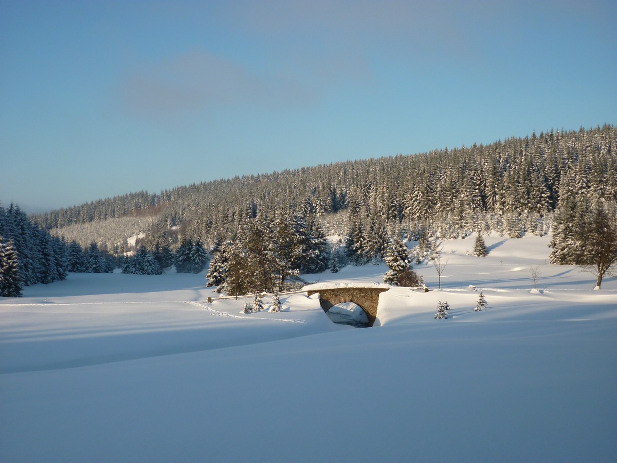 Steinerne Brücke über die Schwarze Pockau - traumhafte Winterlandschaft