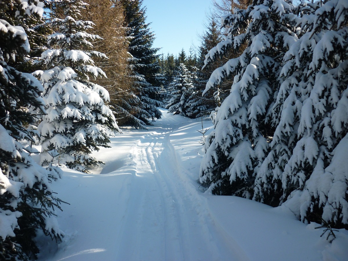 Loipe bei Horni Halze