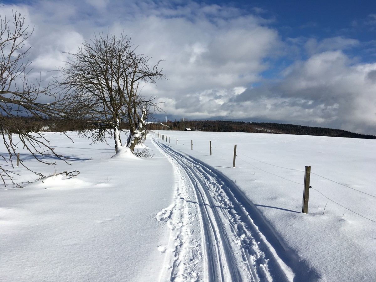 Loipe bei Medenec auf dem Feld