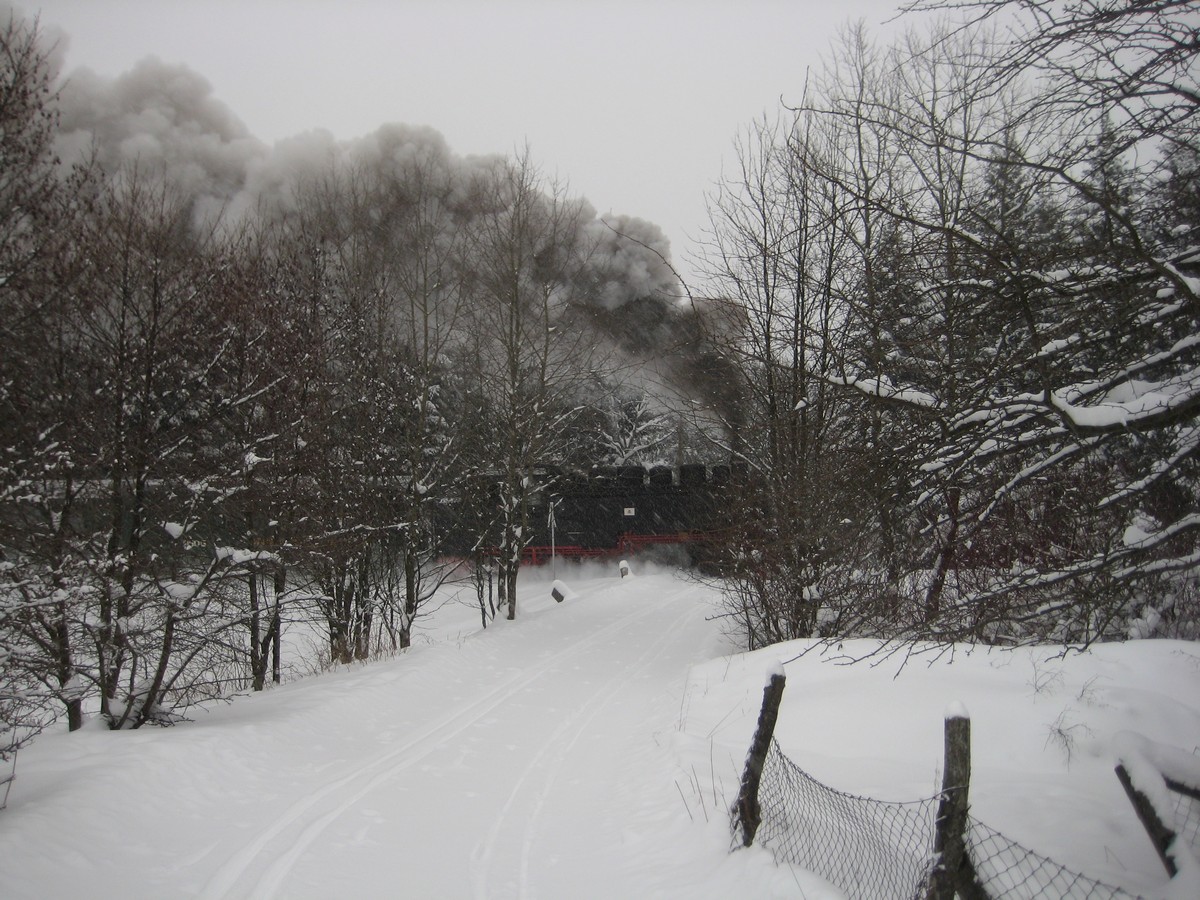 Skiwanderweg bei Kretscham-Rothensehma mit Fichtelbergbahn