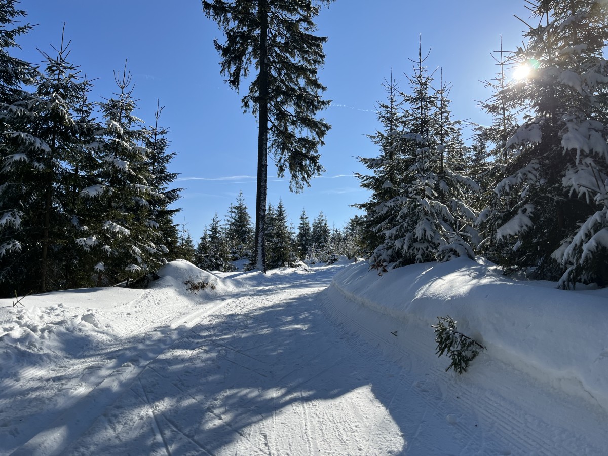 Im Loipengebiet Nove Hamry nahe Wüstung Chaloupky