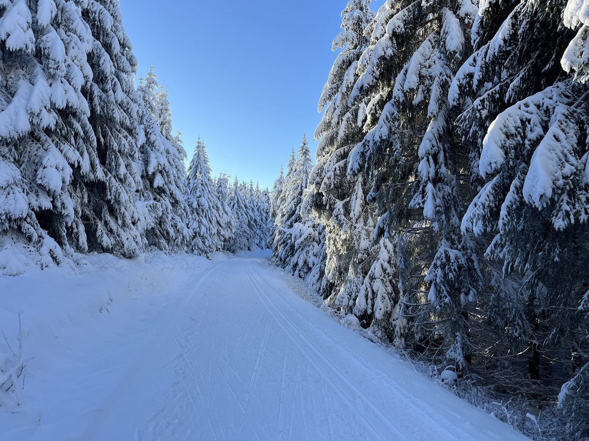 Loipe_Oberwiesenthal12 Rollerbahn