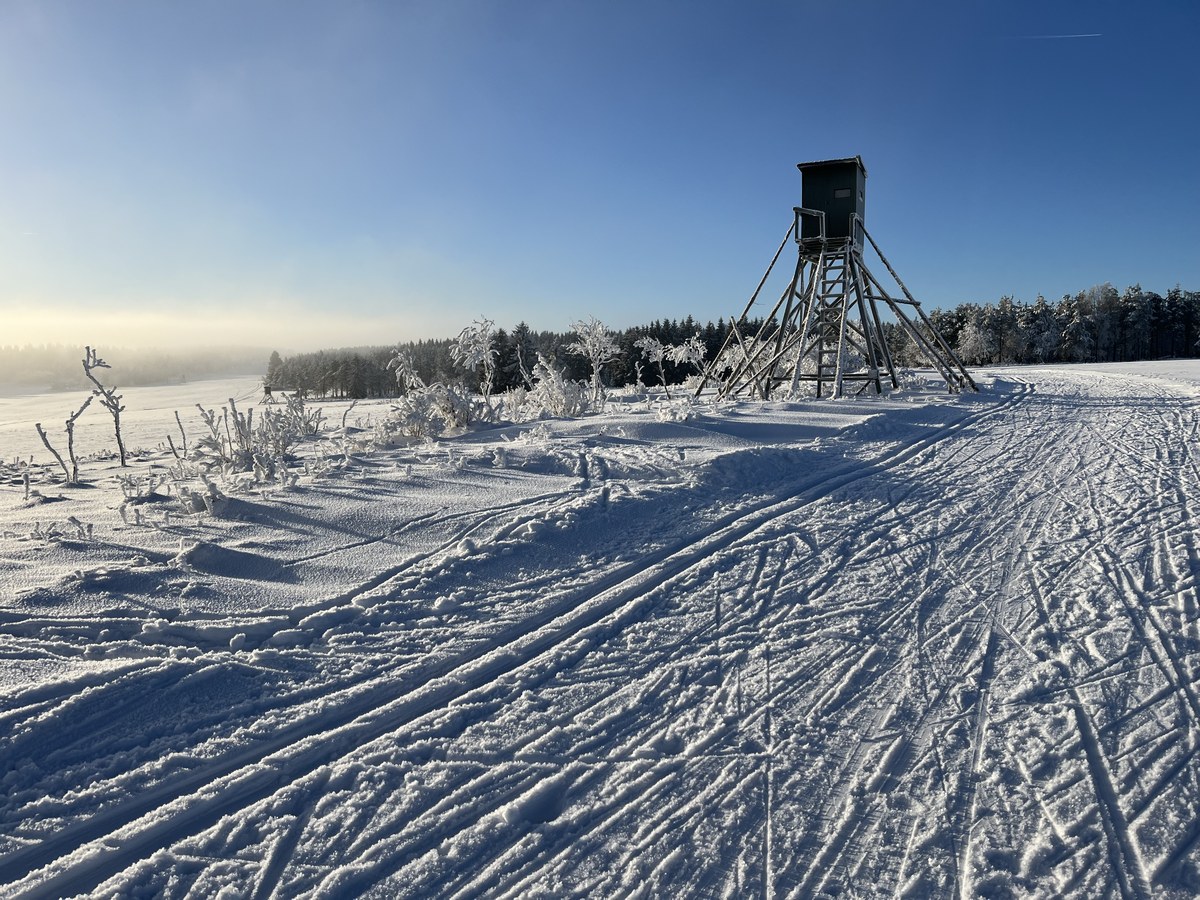 Sonnenloipe Satzung