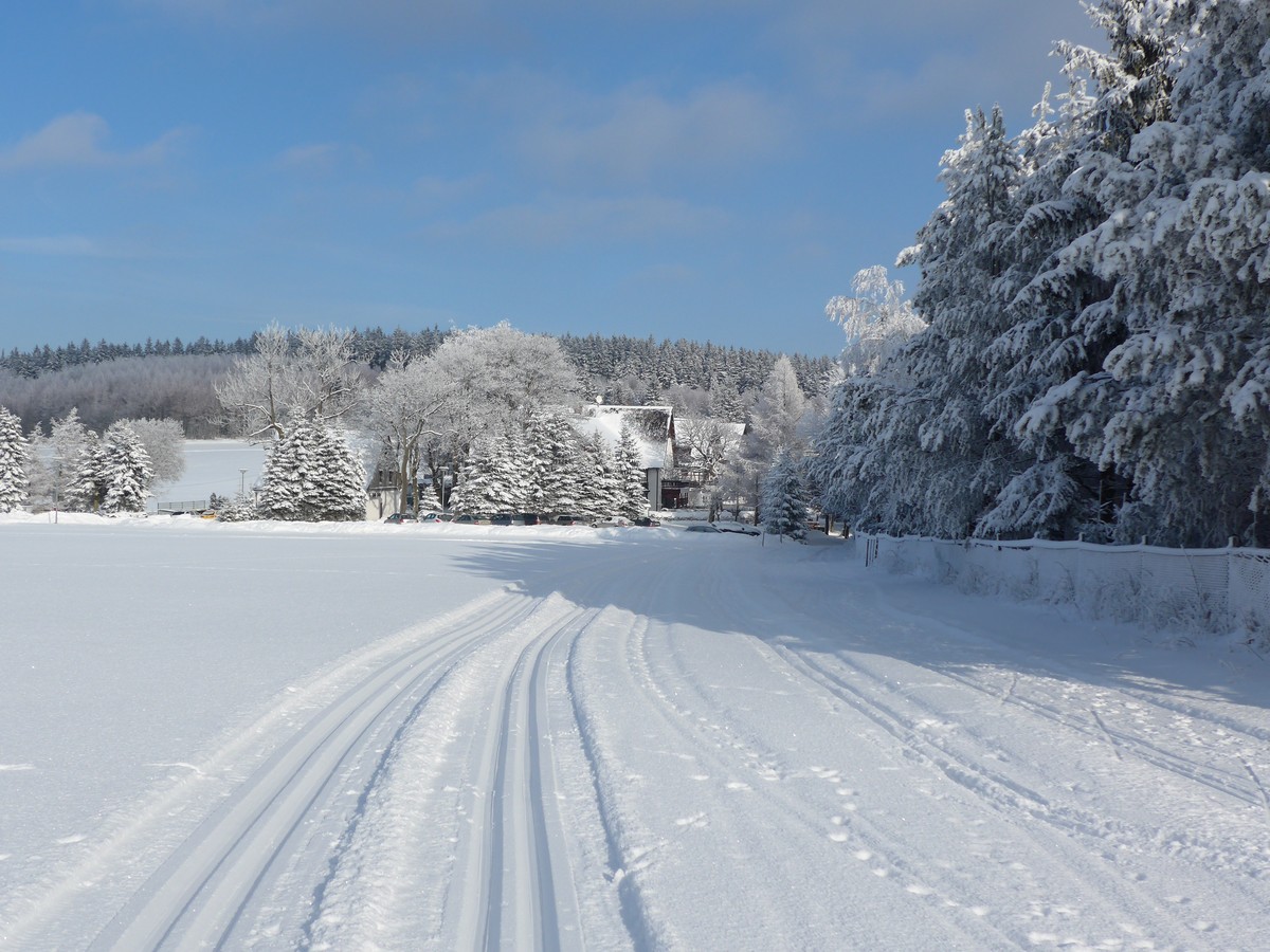 Loipe an der Kreuztanne