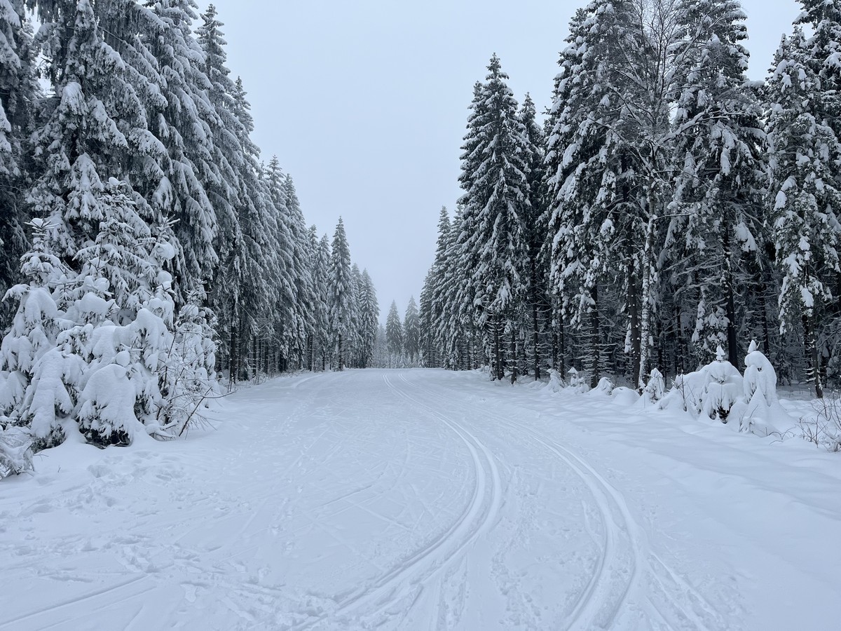 Loipeneinstieg Schöneck nahe IFA Ferienpark