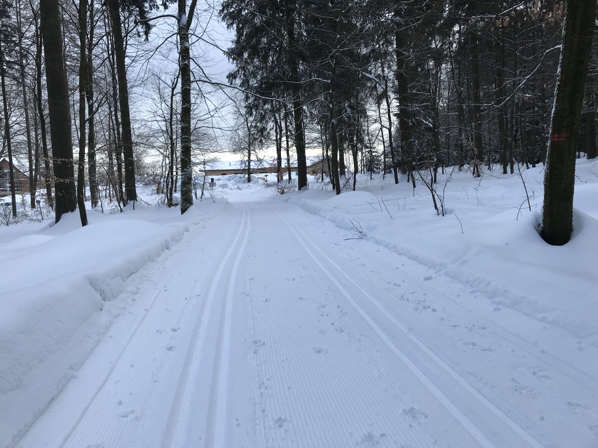 Anschlussloipe zum Hotel Forstmeister bei Schönheide