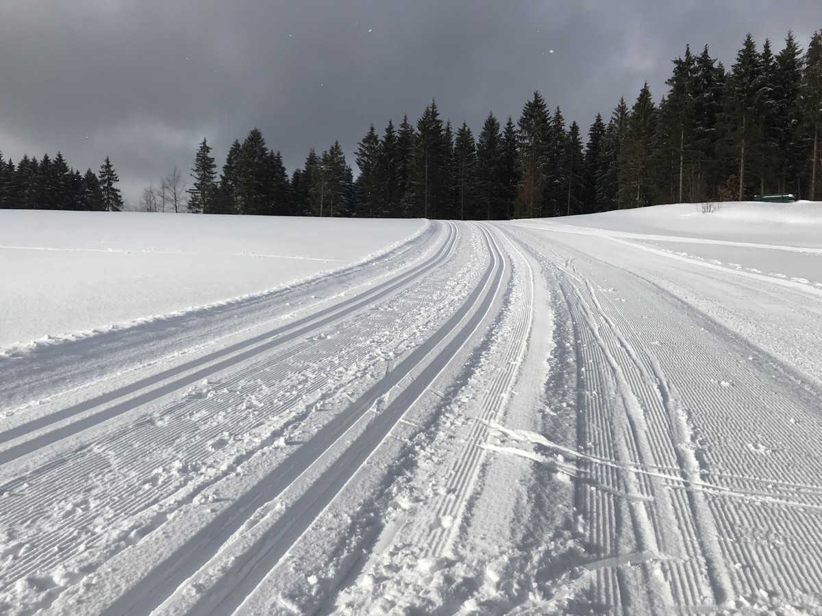 Auf der Sonnenloipe Schönheide