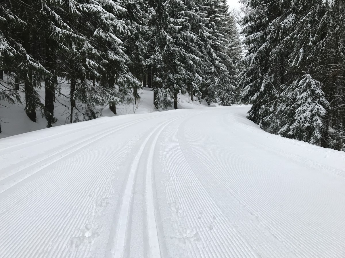 Loipe nach Schnarrtanne auf einem breiten Forstweg