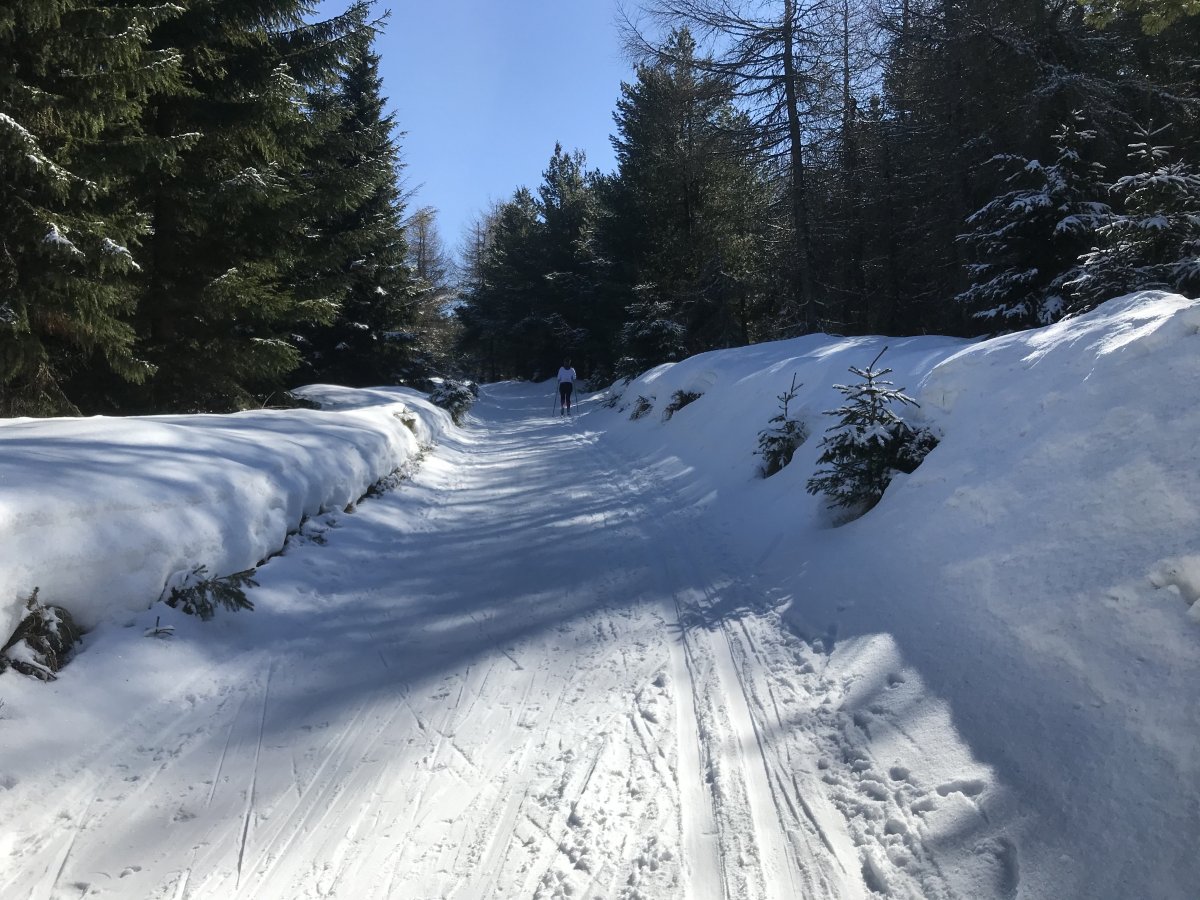 Loipe auf dem Anton-Günther-Weg bei Tellerhäuser