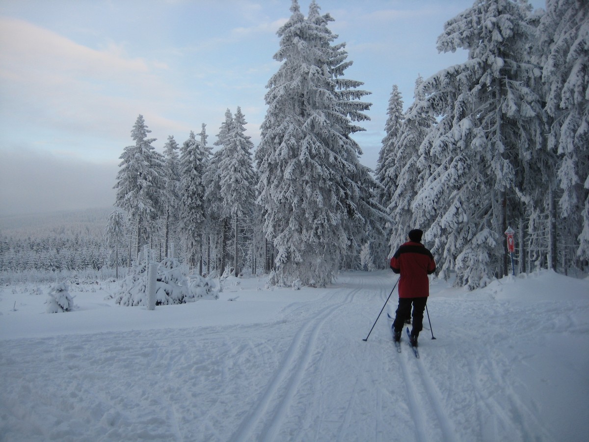 Tellerhäuser Skiwanderweg