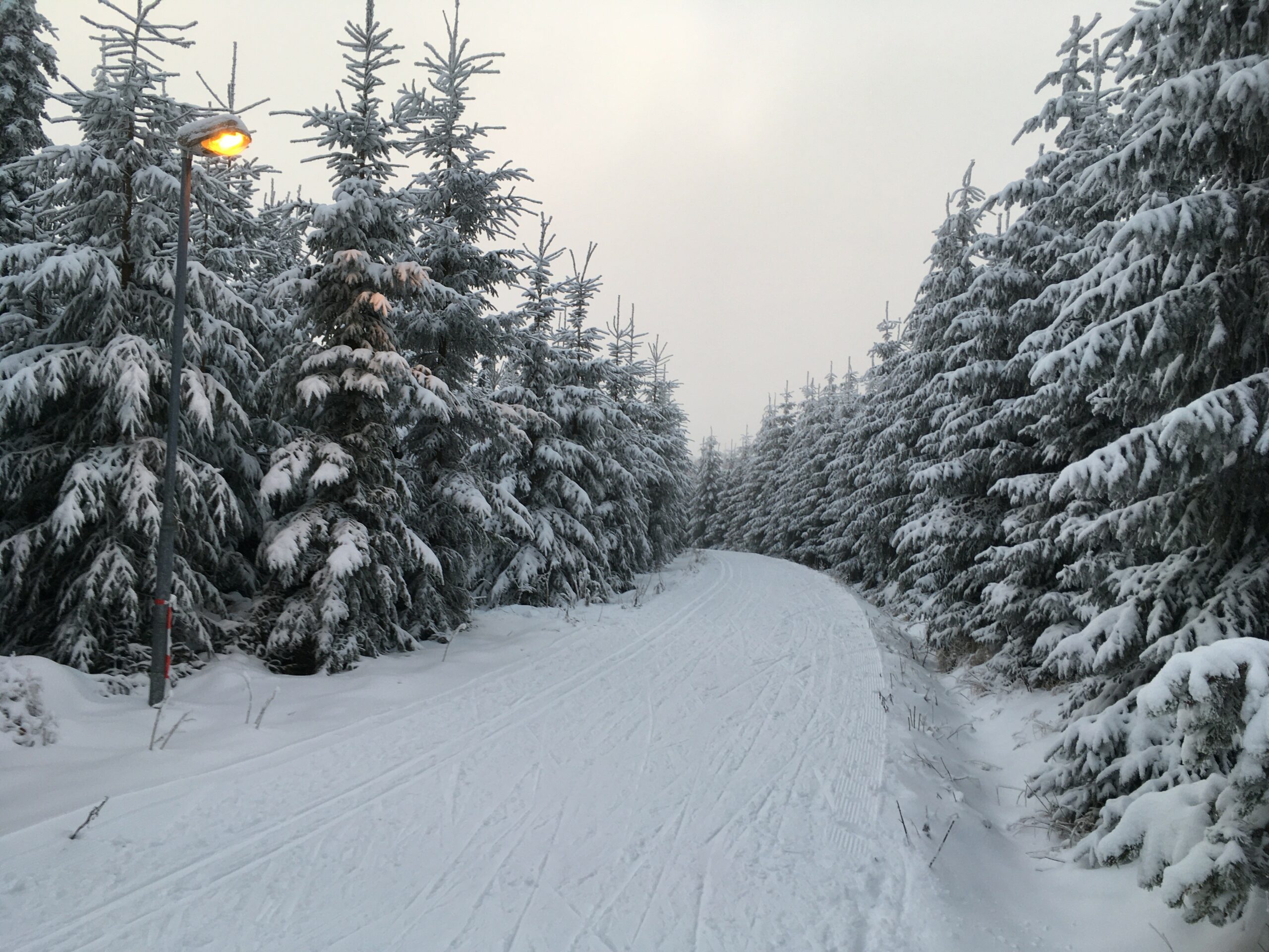 Nachtloipe-am-Biathlonzentrum