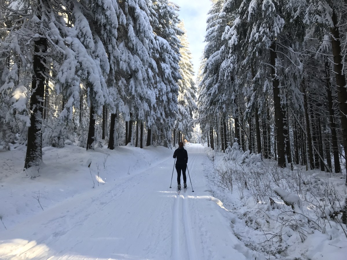 Osterzgebirgsloipe bei Holzhau