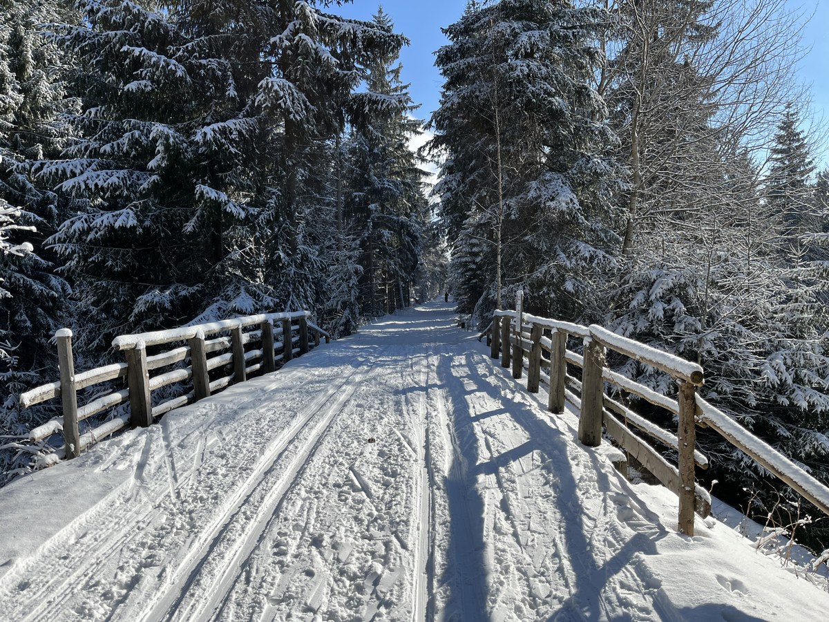 Osterzgebirgsloipe entlang der alten Bahnstrecke