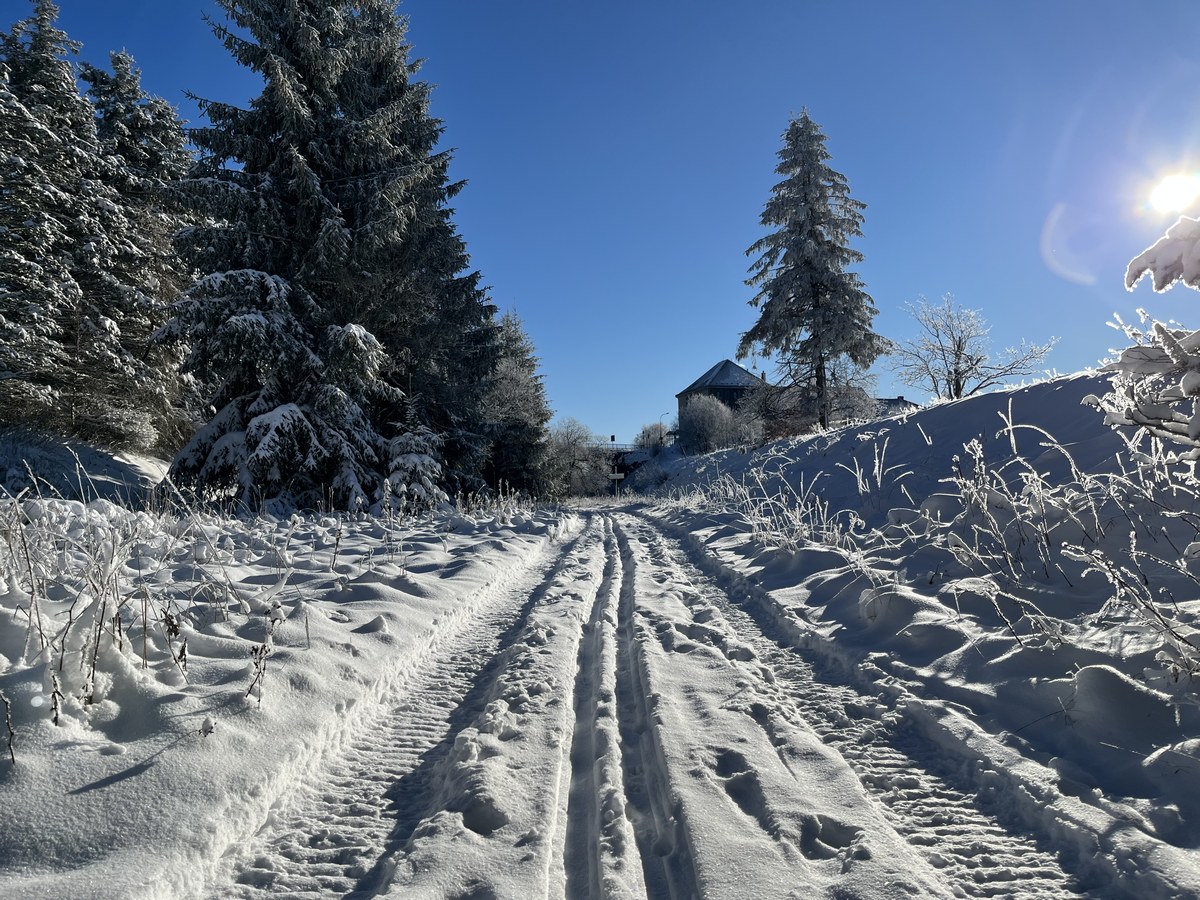 Region-Altenberg-Skitour3_2022-12-13