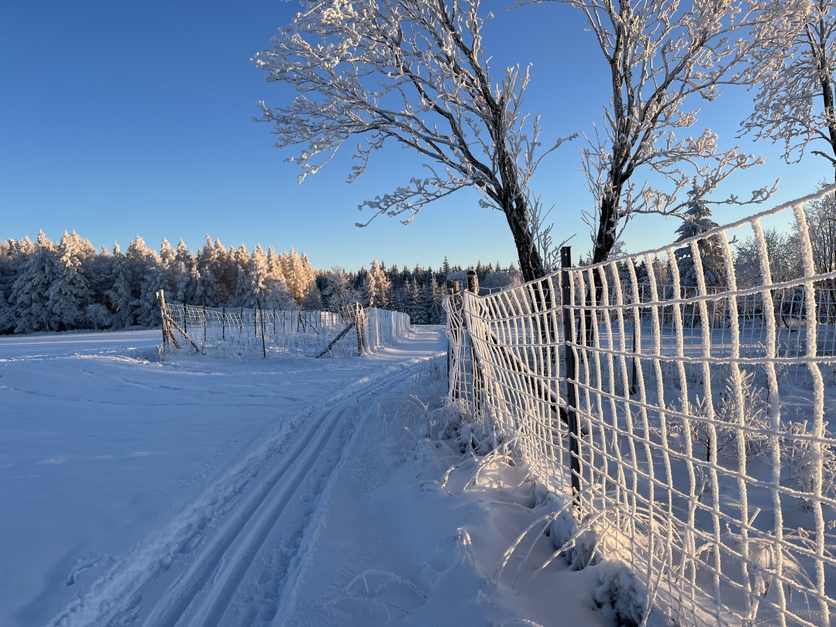 Region-Altenberg-Skitour9_2022-12-13