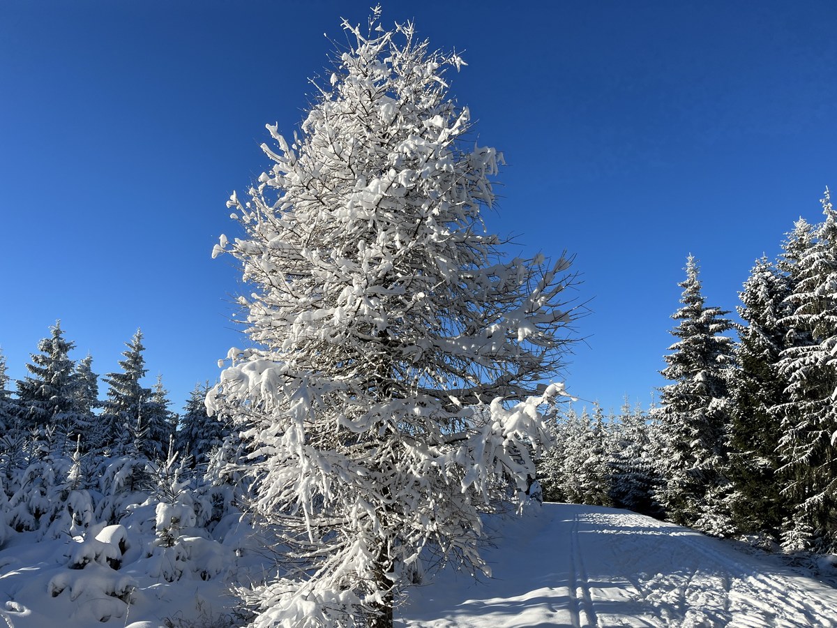 Region-Altenberg-Skitour_2022-12-13