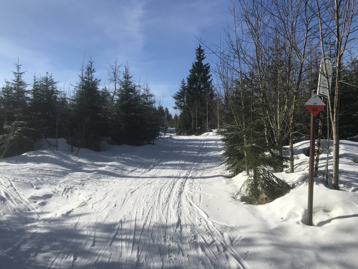 Skimagistrale-Henneberg