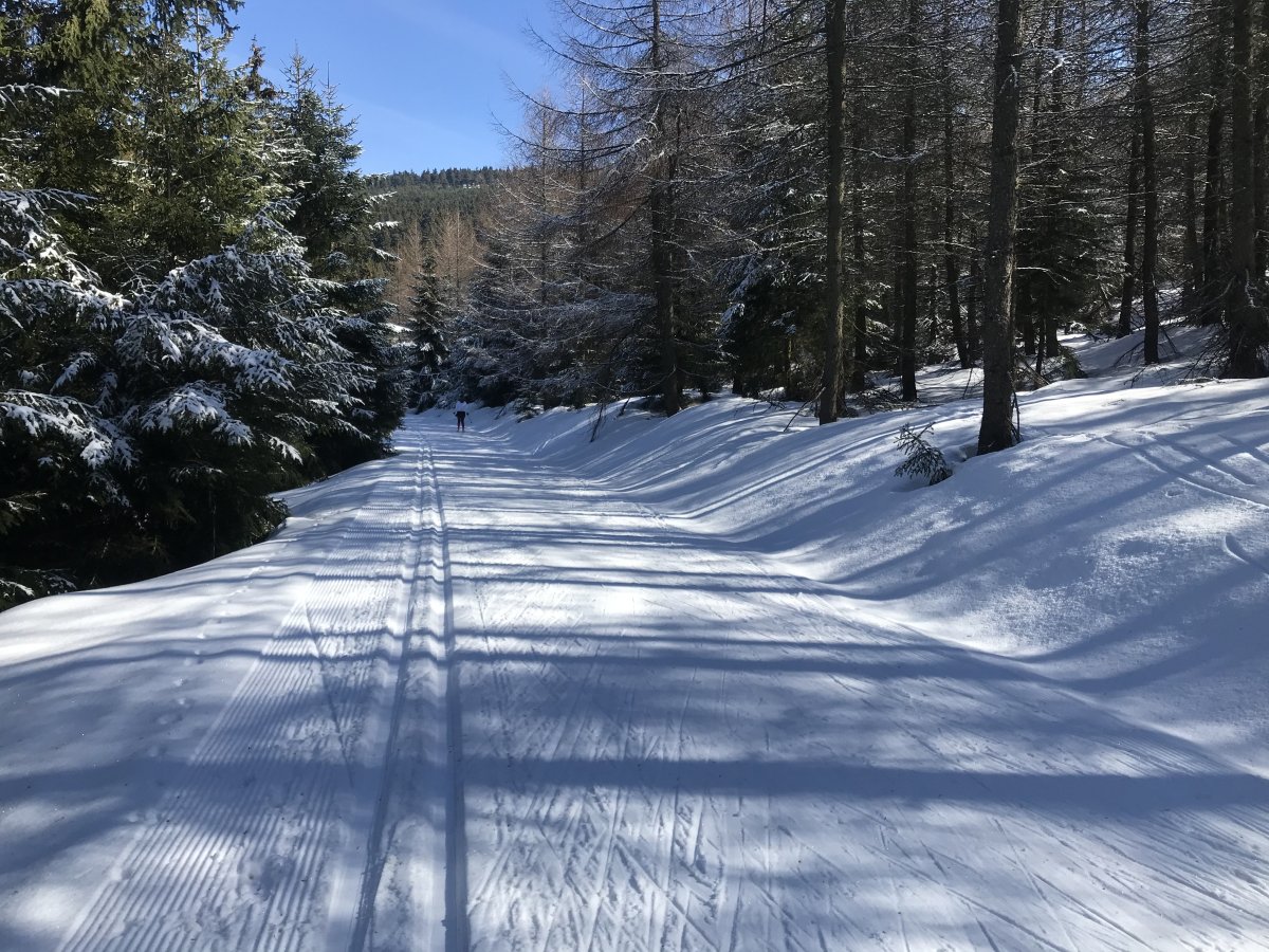 Tellerhaeuser-Skiwanderweg